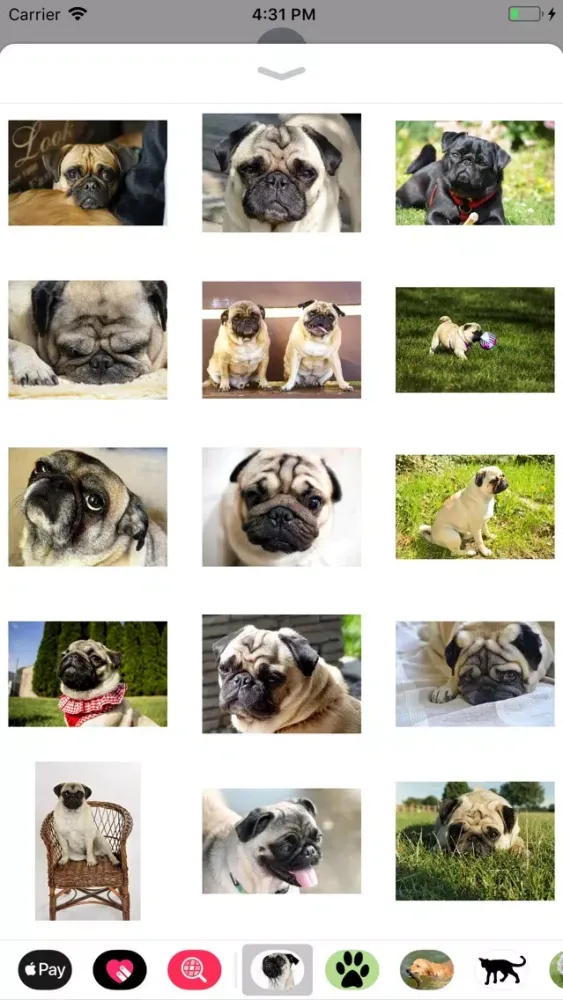 Скриншоты Pug Sticker Pack