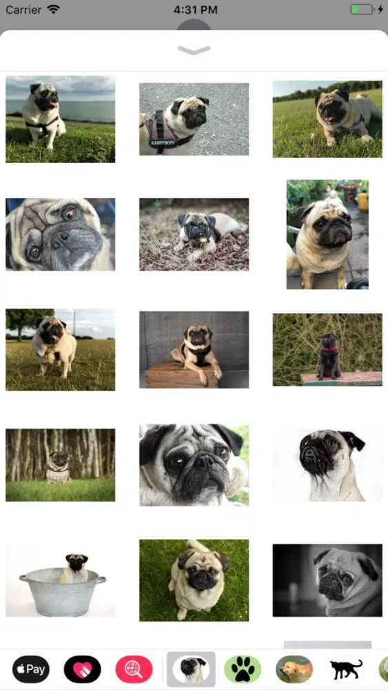 Скриншоты Pug Sticker Pack