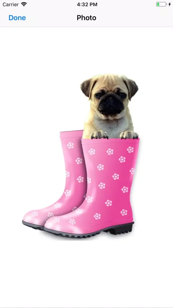 Скриншоты Pug Sticker Pack