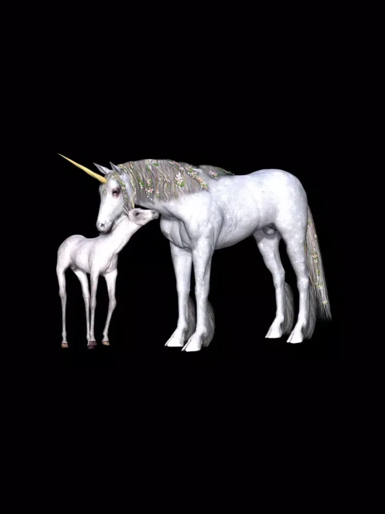 Pure Unicorn Sticker Pack iPad  Ekran Görüntüleri