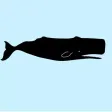 Real Whale Stickers Real Whale Stickers