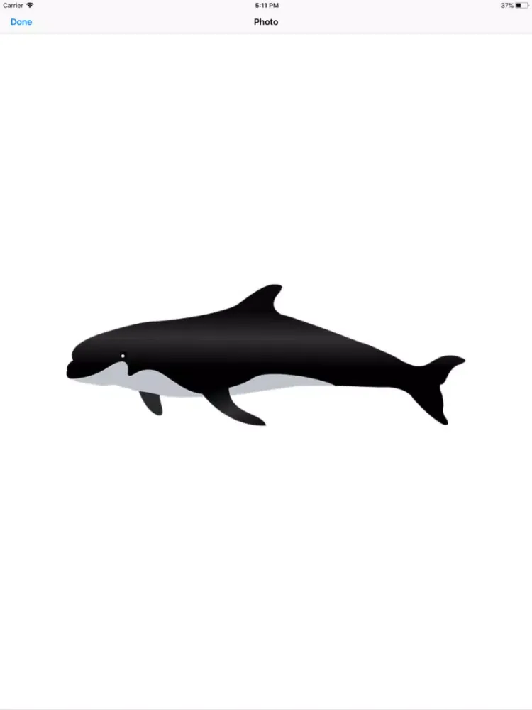 Real Whale Stickers iPad  سکرین شاٹس