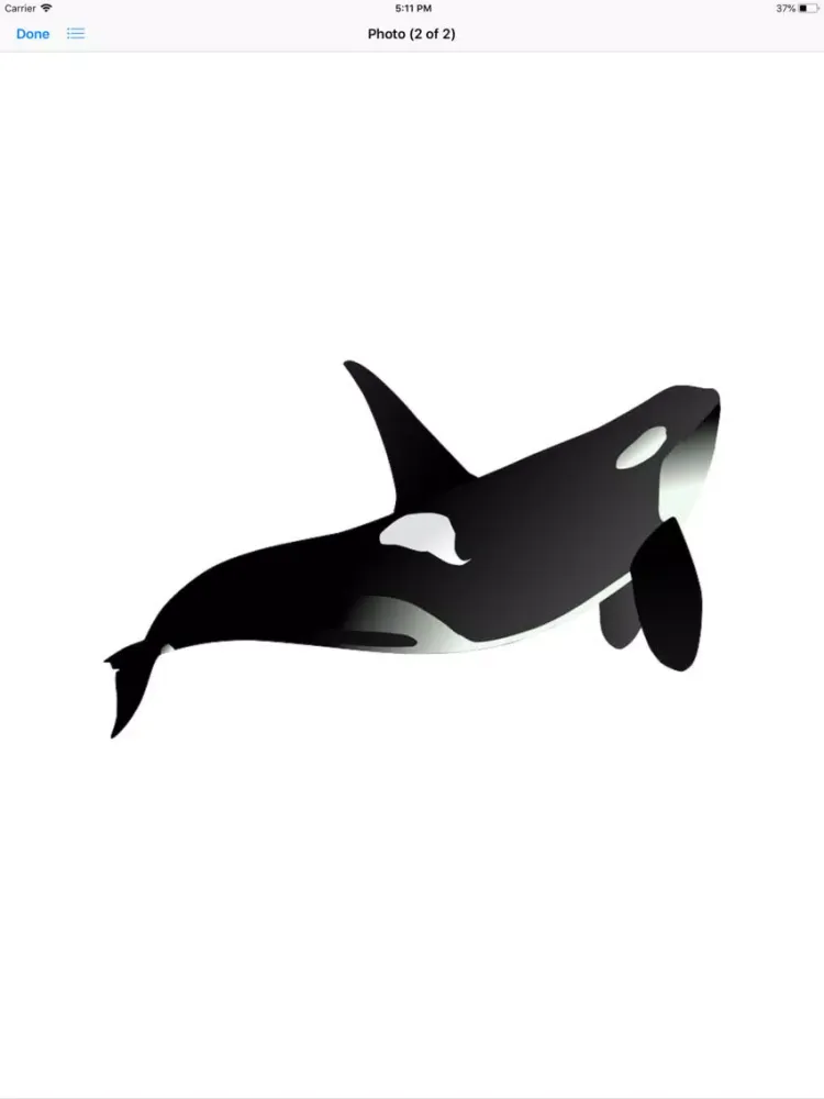 Real Whale Stickers iPad  سکرین شاٹس
