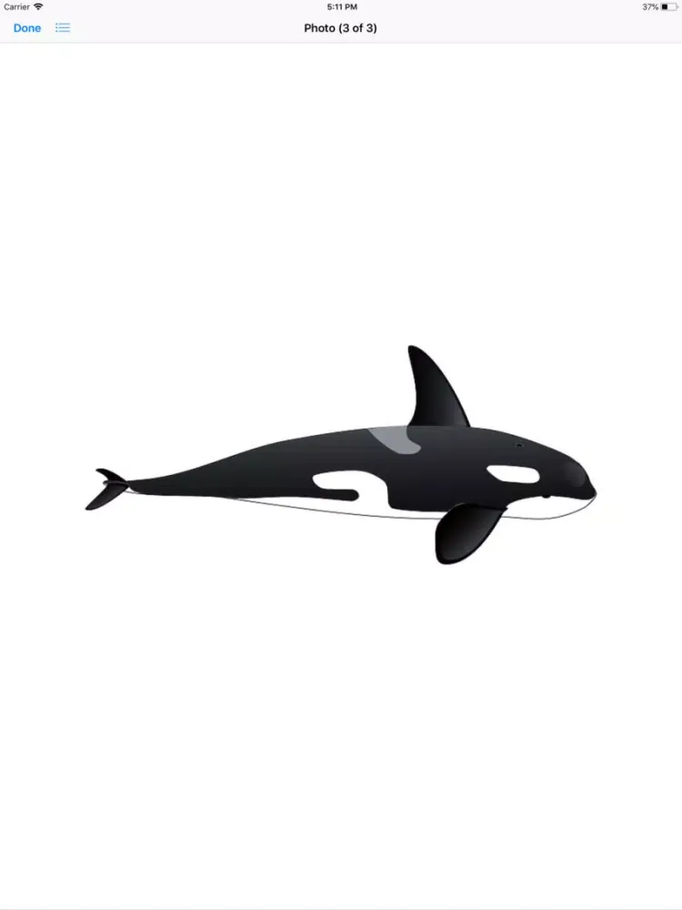 Real Whale Stickers iPad  سکرین شاٹس