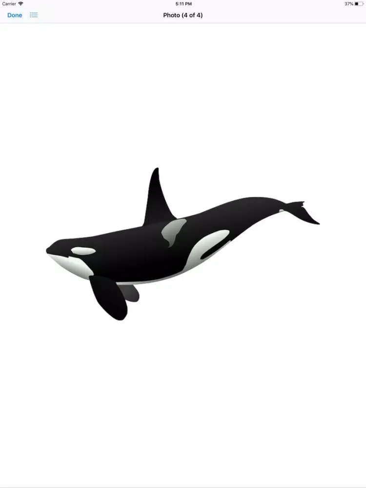 Real Whale Stickers iPad  سکرین شاٹس