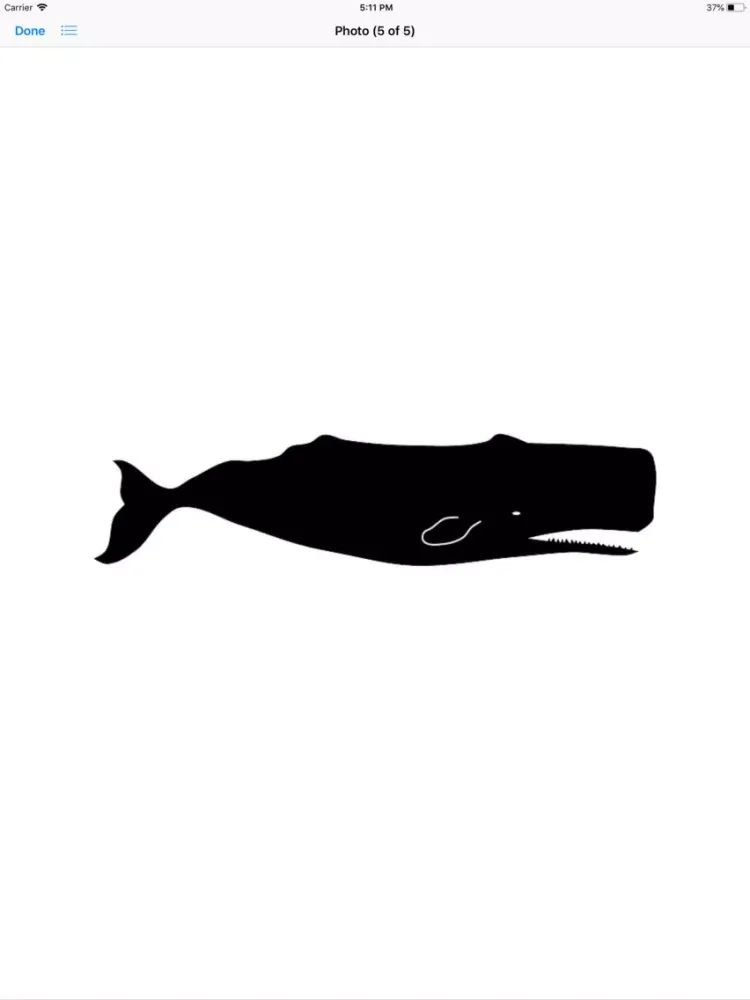 Real Whale Stickers iPad  سکرین شاٹس
