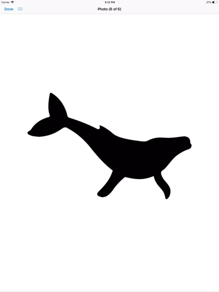 Real Whale Stickers iPad  سکرین شاٹس