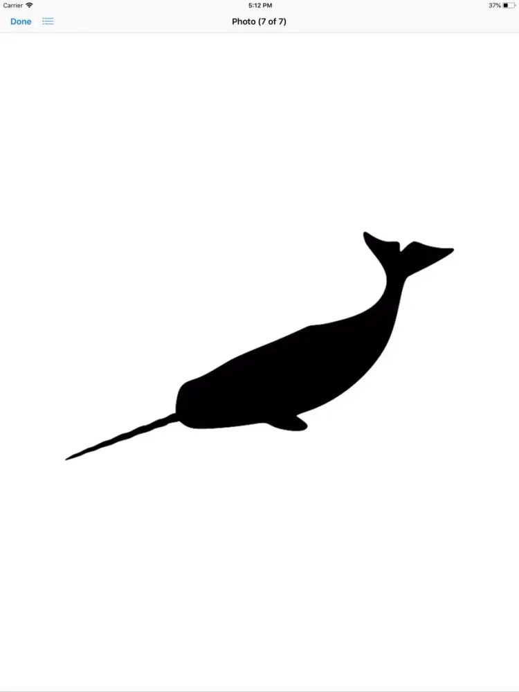 Real Whale Stickers iPad  سکرین شاٹس