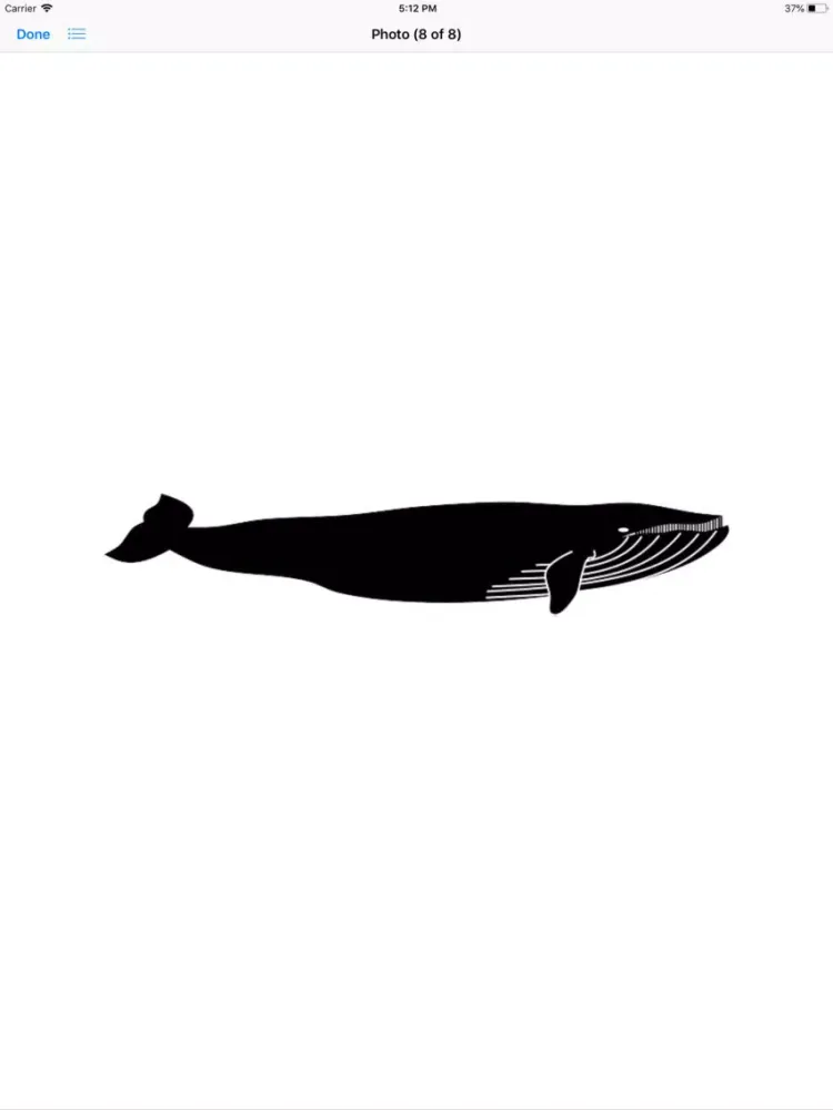 Real Whale Stickers iPad  سکرین شاٹس