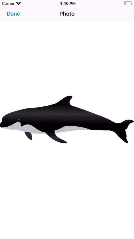 Real Whale Stickers سکرین شاٹس