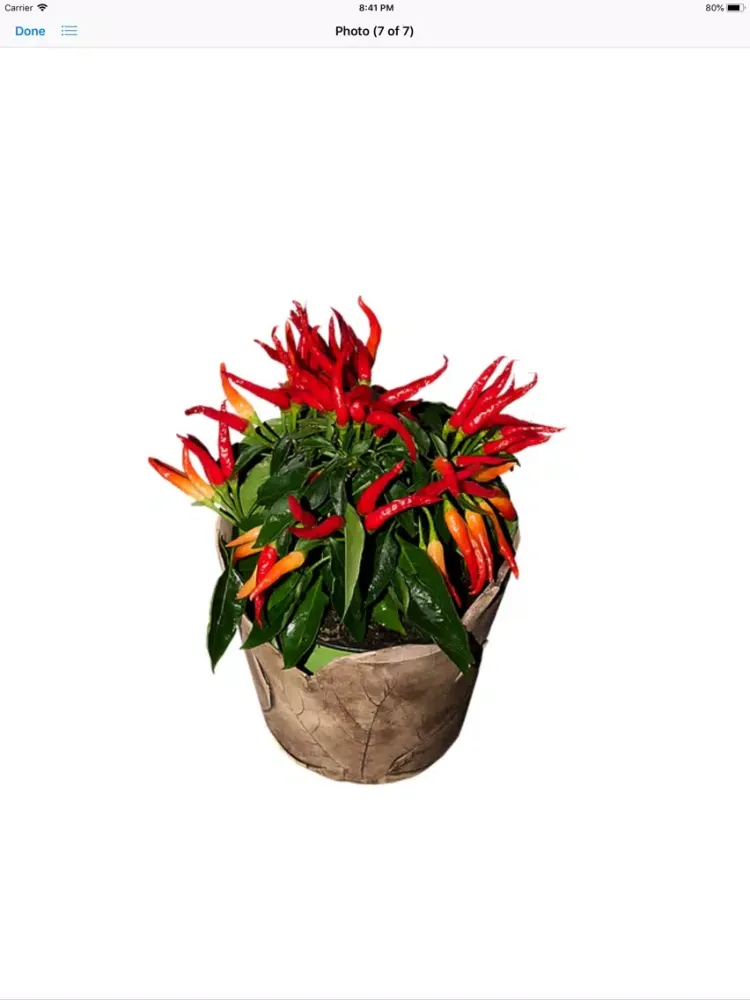 Hot Pepper Stickers iPad  স্ক্রিনশট