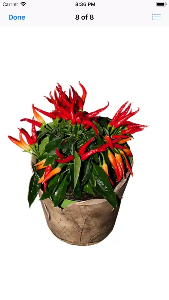 Hot Pepper Stickers স্ক্রিনশট