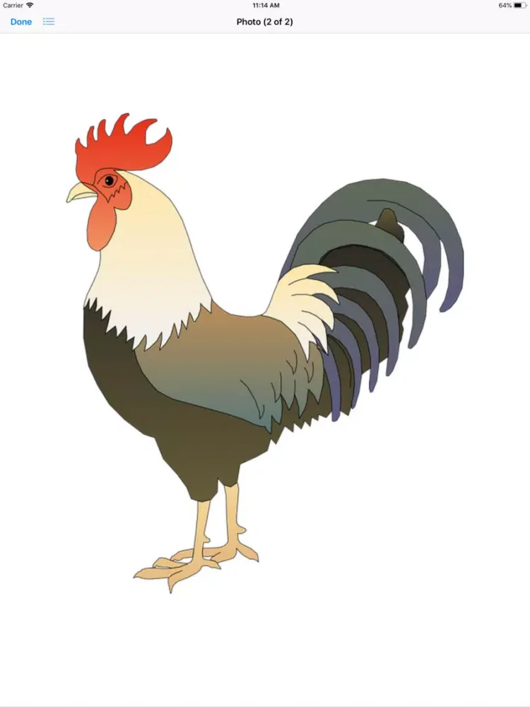 تصاویر Raucous Rooster Stickers iPad 