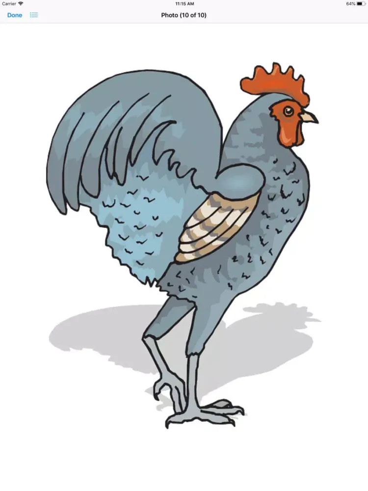 تصاویر Raucous Rooster Stickers iPad 
