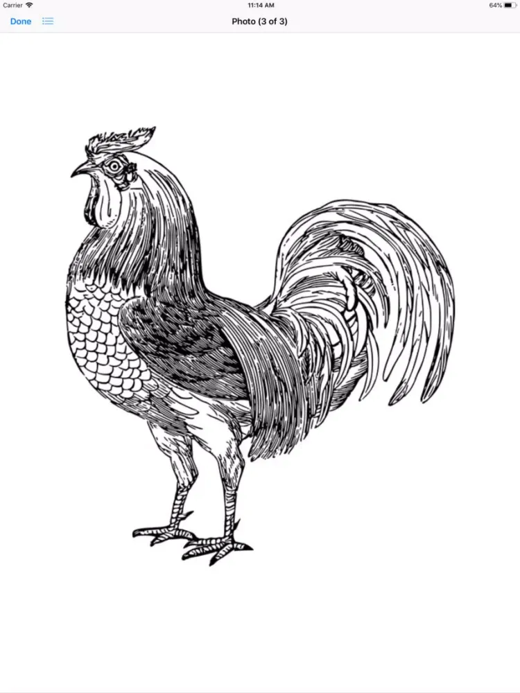 تصاویر Raucous Rooster Stickers iPad 