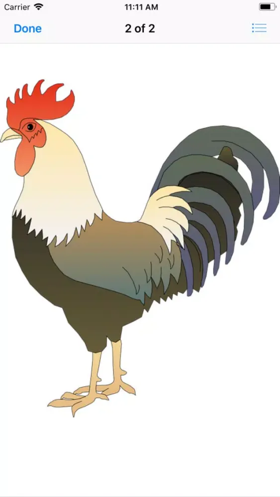 تصاویر Raucous Rooster Stickers