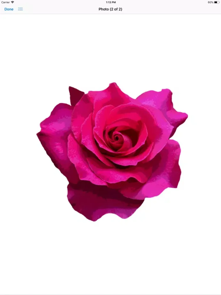 Rose Sticker Pack iPad 应用截图