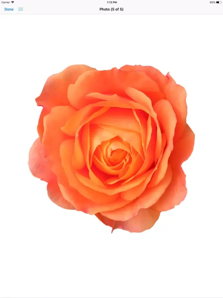Rose Sticker Pack iPad 应用截图