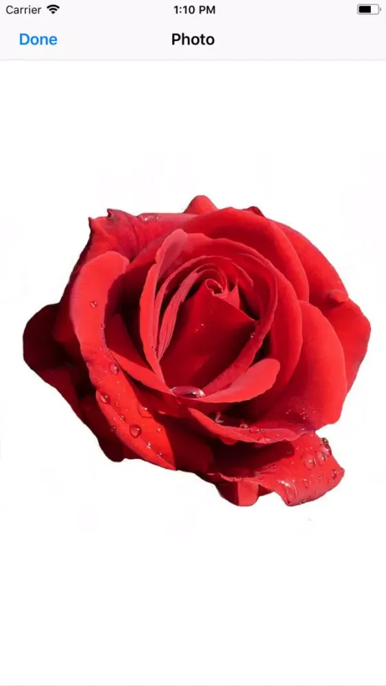 Rose Sticker Pack应用截图