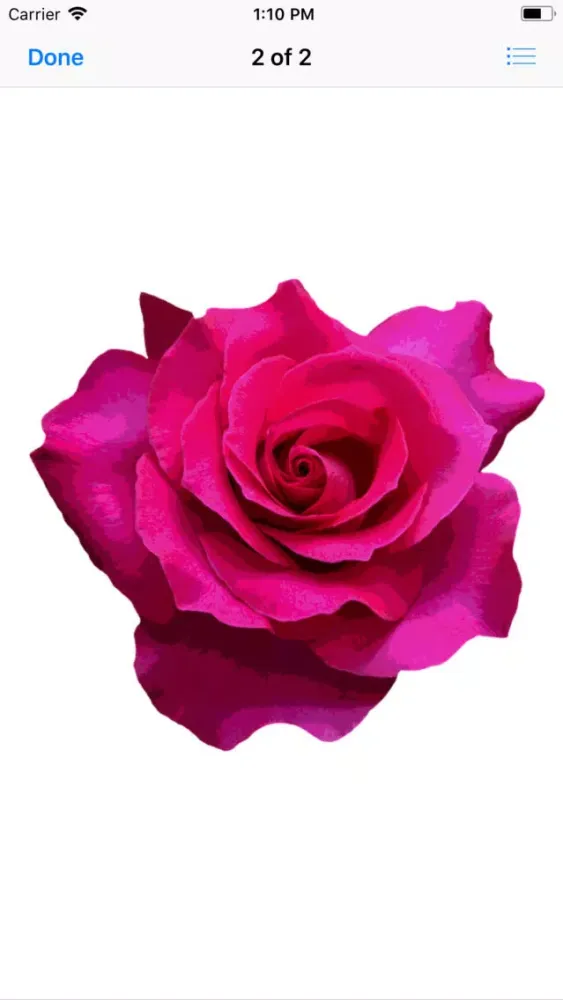 Rose Sticker Pack应用截图