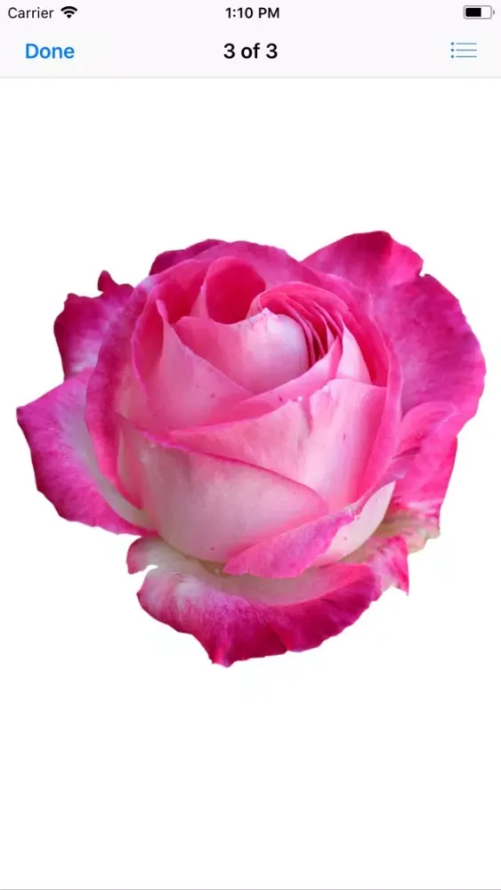 Rose Sticker Pack应用截图
