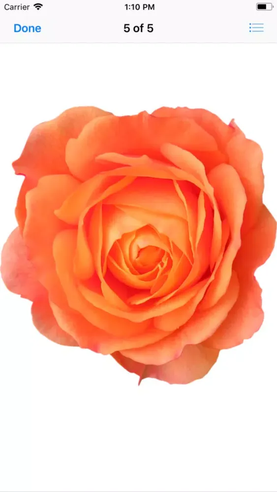 Rose Sticker Pack应用截图
