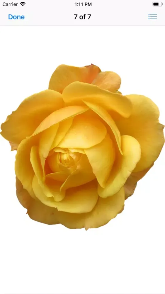 Rose Sticker Pack应用截图
