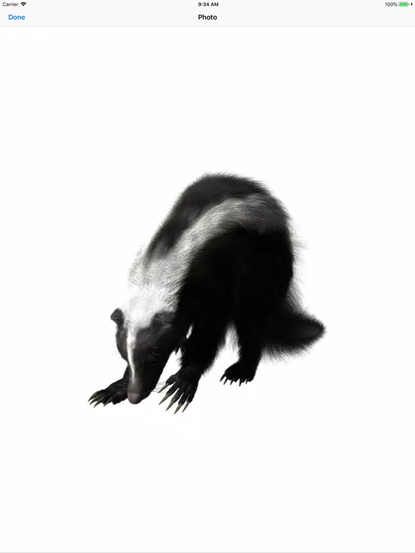 Sweet Skunk Stickers iPad 应用截图