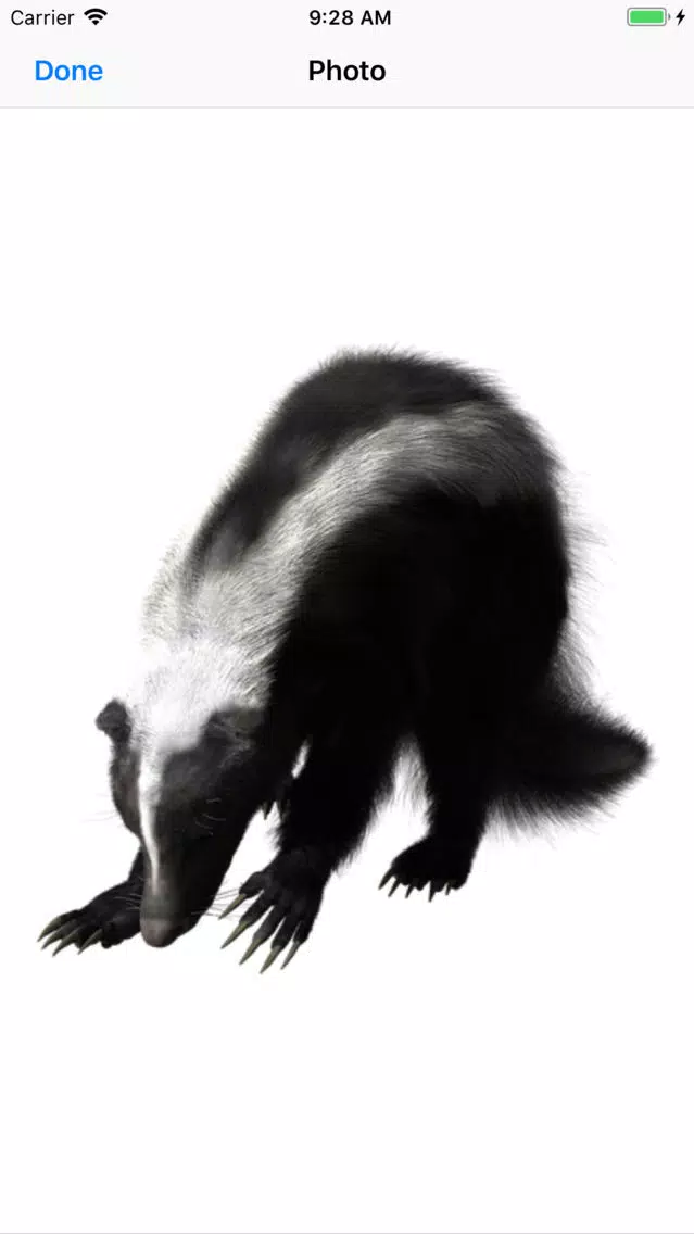 Sweet Skunk Stickers应用截图