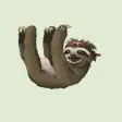 Slow Sloth Stickers Slow Sloth Stickers