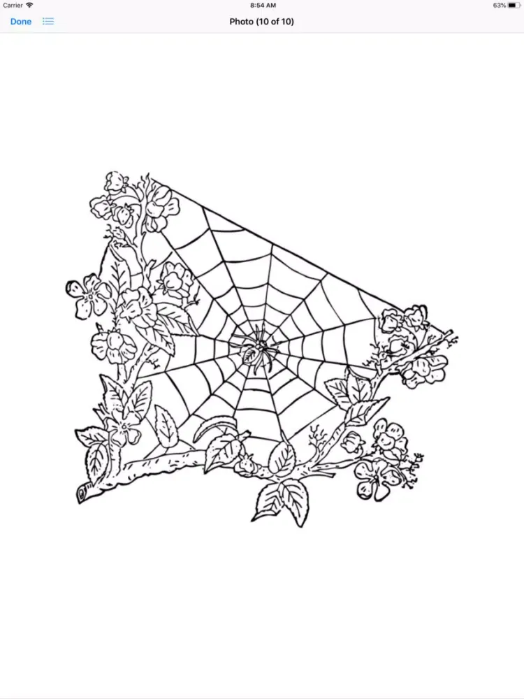 Ảnh chụp màn hình của My Spiderweb Sticker Pack iPad 