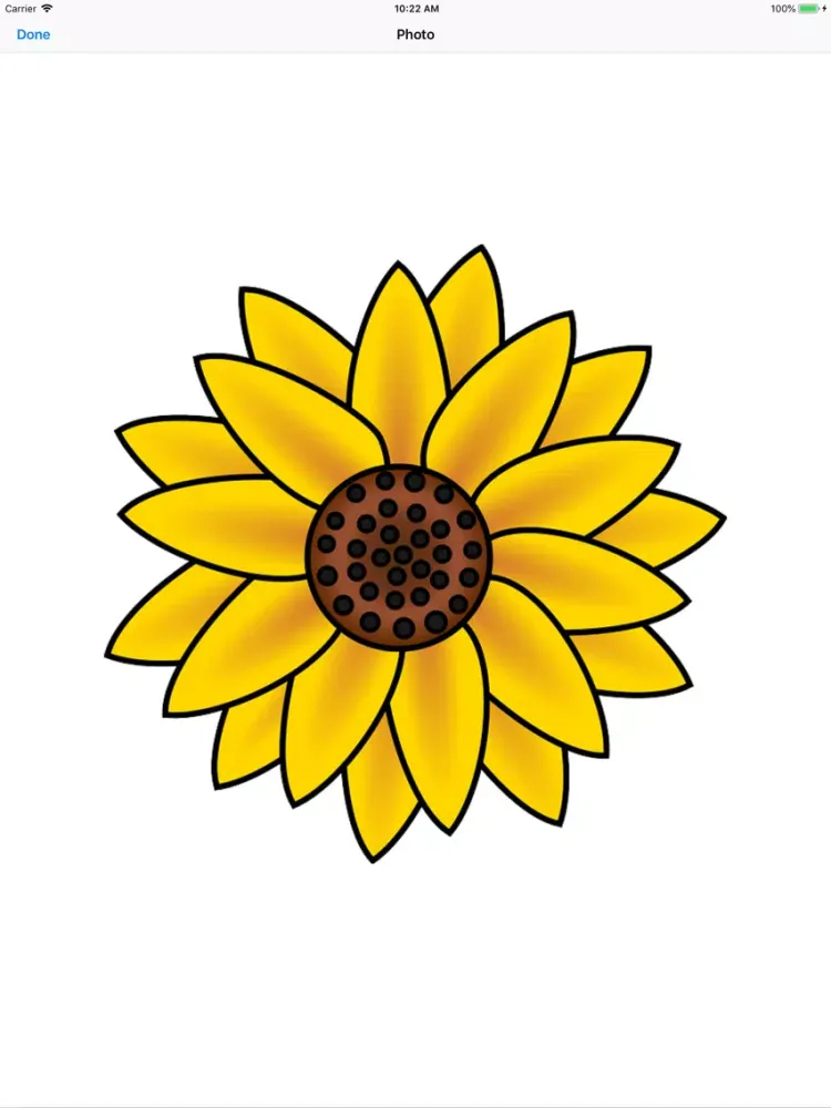 Sunflower Stickers iPad 应用截图