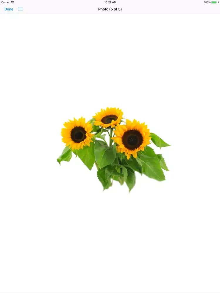 Sunflower Stickers iPad 应用截图