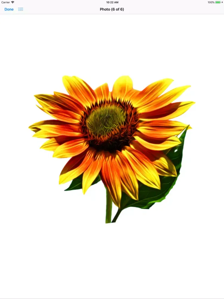 Sunflower Stickers iPad 应用截图