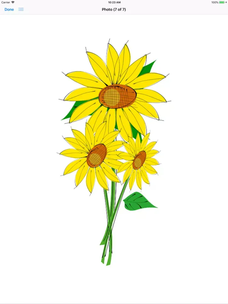 Sunflower Stickers iPad 应用截图