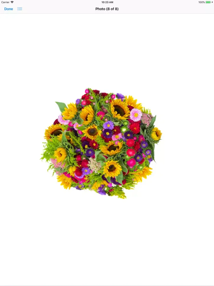 Sunflower Stickers iPad 应用截图