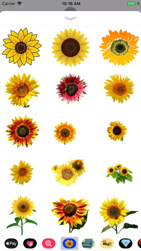 Sunflower Stickers应用截图
