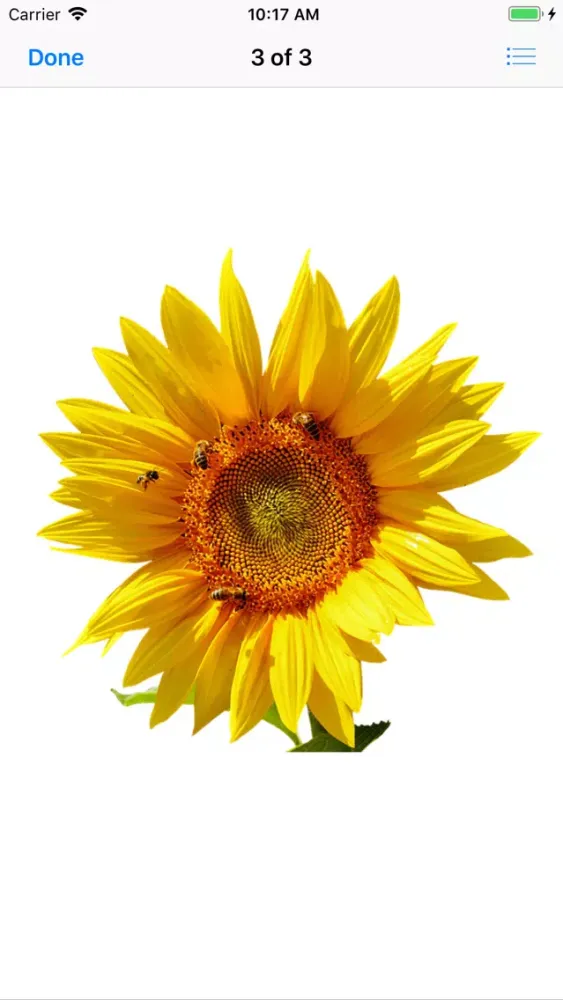 Sunflower Stickers应用截图