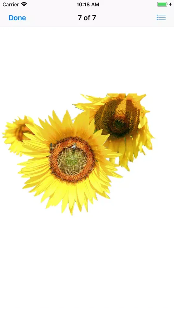 Sunflower Stickers应用截图