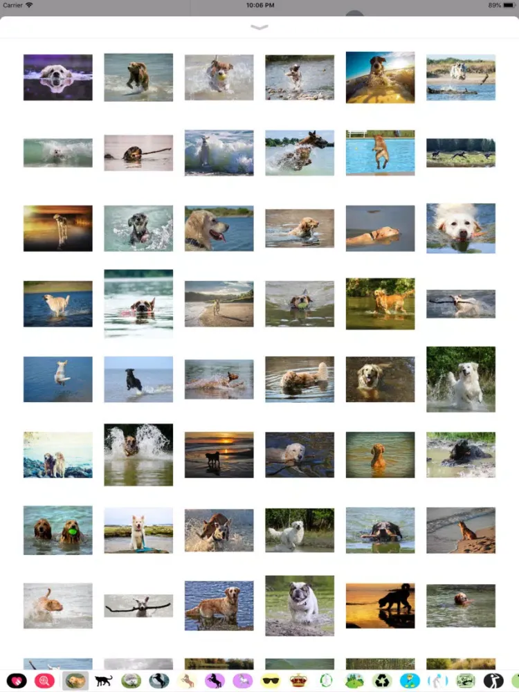 Captures d'écran de Water Dog Sticker Pack iPad 