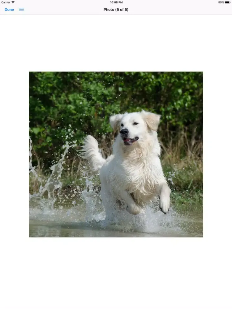 Captures d'écran de Water Dog Sticker Pack iPad 