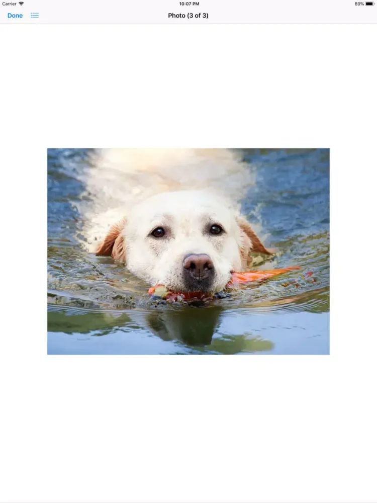 Captures d'écran de Water Dog Sticker Pack iPad 