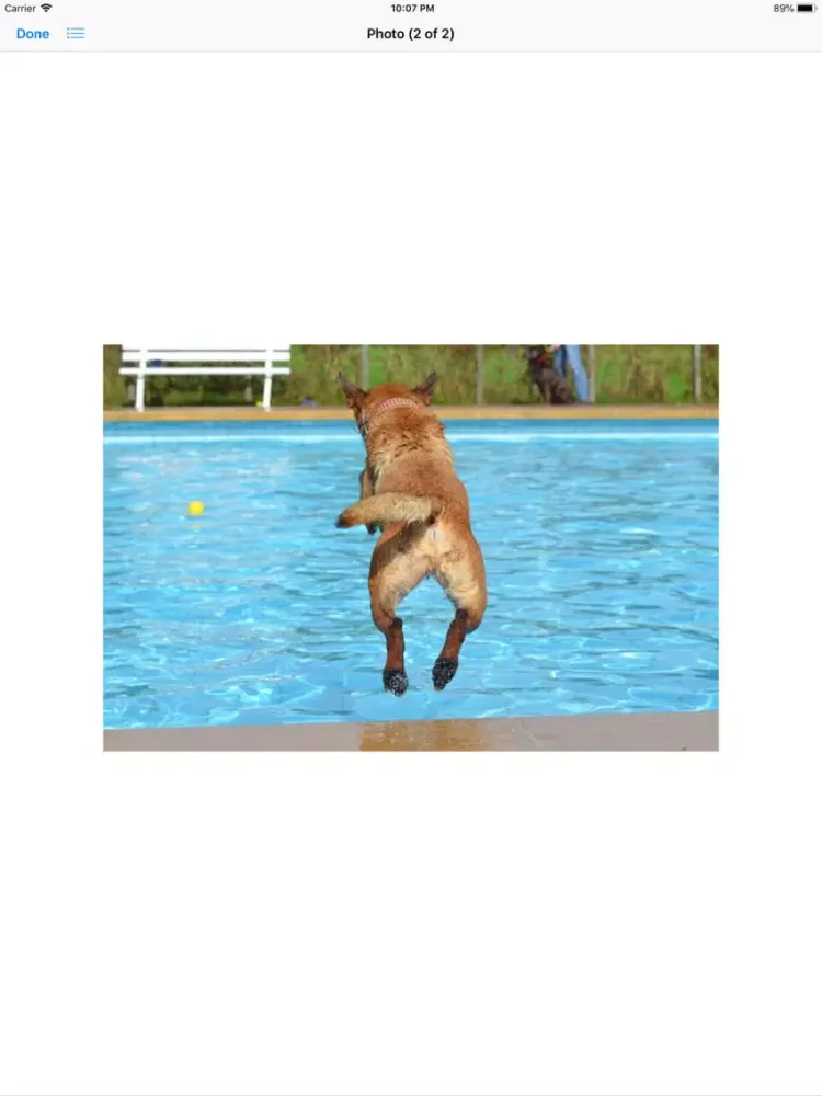 Captures d'écran de Water Dog Sticker Pack iPad 
