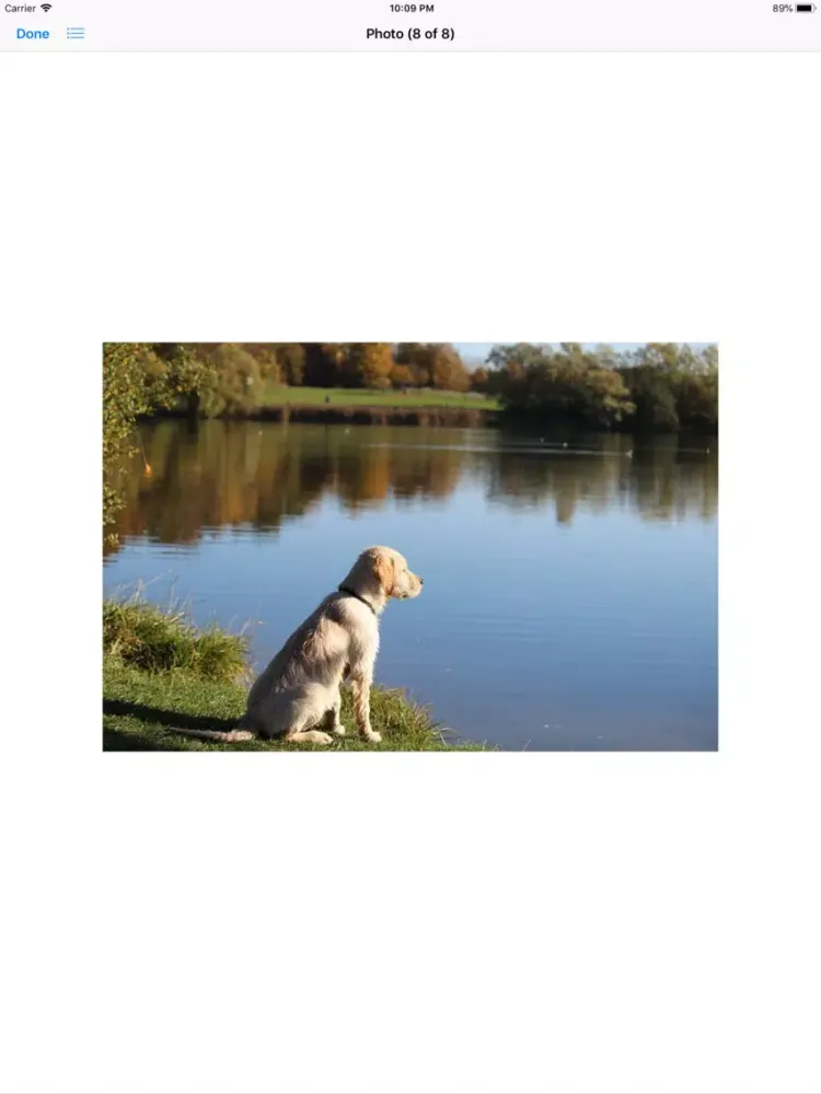 Captures d'écran de Water Dog Sticker Pack iPad 