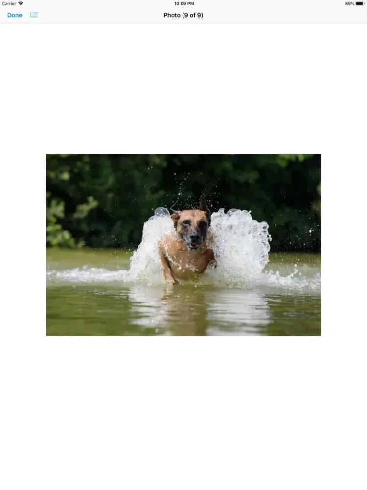 Captures d'écran de Water Dog Sticker Pack iPad 