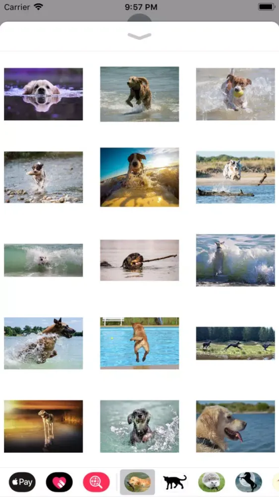 Captures d'écran de Water Dog Sticker Pack