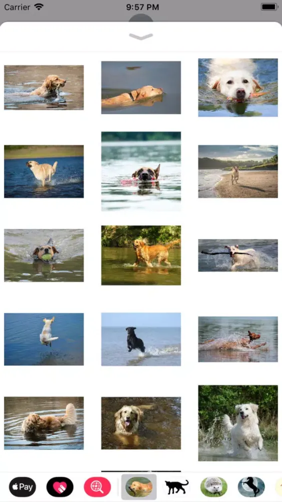 Captures d'écran de Water Dog Sticker Pack