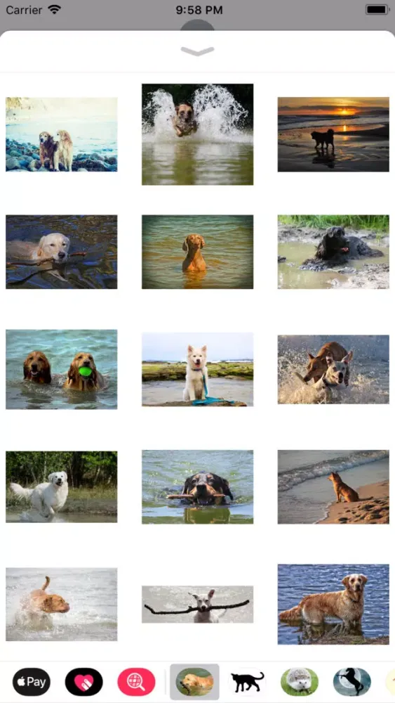 Captures d'écran de Water Dog Sticker Pack