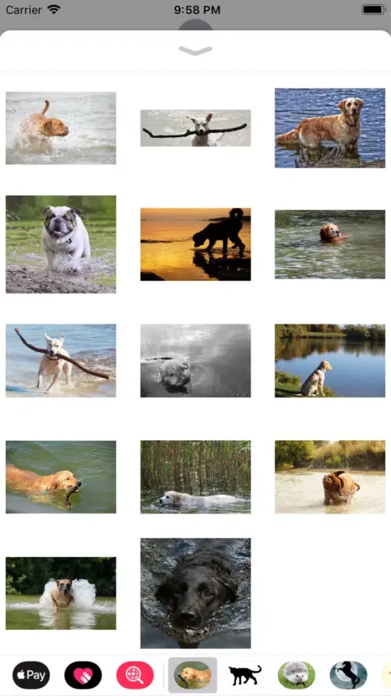 Captures d'écran de Water Dog Sticker Pack