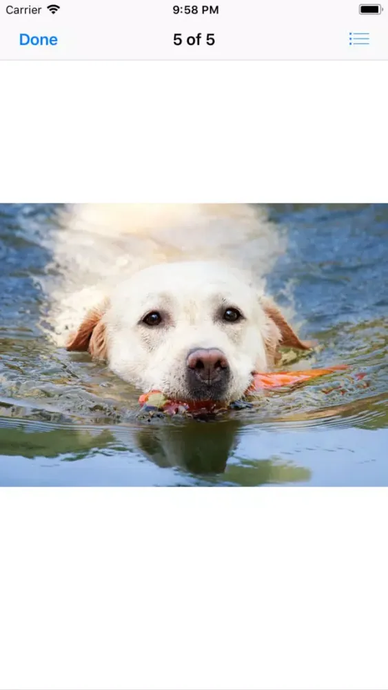 Captures d'écran de Water Dog Sticker Pack